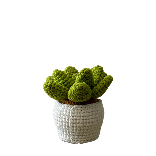 Vintage used toy Smily Succulent