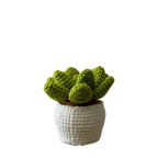 Vintage used toy Smily Succulent