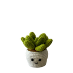 Vintage used toy Smily Succulent