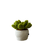 Vintage used toy Smily Succulent