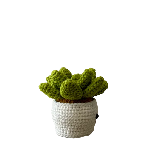 Vintage used toy Smily Succulent